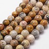 Natural Crazy Lace Agate Beads Strands X-G-D840-70-6mm-1