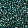TOHO 8/0 Round Beads X-SEED-TR08-0027BD-2