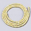 Natural Freshwater Shell Beads Strands X-BSHE-T009-01E-2