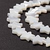 Natural Trochid Shell/Trochus Shell Beads SSHEL-O001-25C-02-4