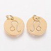 Ion Plating(IP) 304 Stainless Steel Pendants A-STAS-Q201-T445-5G-2