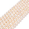 Natural Cultured Freshwater Pearl Beads Strands PEAR-E016-194C-1