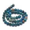 Natural Apatite Beads Strands G-I254-08C-4