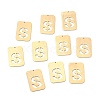 Ion Plating(IP) 304 Stainless Steel Pendants STAS-K216-49S-G-3