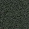 11/0 FGB Grade A Baking Paint Glass Seed Beads X-SEED-N001-A-1040-2