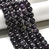 Natural Amethyst Beads Strands G-L595-C02-04-2