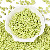 Opaque Baking Paint Glass Seed Beads SEED-T008-02L-2