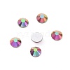 K9 Sparkly Opal Rhinestones MRMJ-N003-04C-03-2