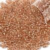 10G Glass Seed Beads SEED-YW0003-11I-1