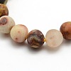 Frosted Natural Crazy Lace Agate Round Bead Strands G-M063-8mm-02-2