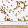 MIYUKI Delica Beads X-SEED-J020-DB1739-4