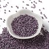 Baking Paint Glass Seed Beads SEED-S042-15A-14-2