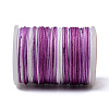 Segment Dyed Polyester Thread NWIR-I013-A-08-3