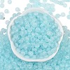 Transparent Colours Glass Seed Beads SEED-P008-01B-01-3