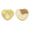 Natural Freshwater Shell Charms SHEL-R113-17J-2