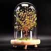 Natural Peridot Display Decoration TREE-PW0001-22D-1