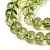 Crackle Transparent Glass Beads Strands GLAA-N074-02B-01-4