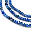 Natural Lapis Lazuli Beads Strands G-H003-B07-02-3