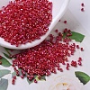 MIYUKI Delica Beads SEED-J020-DB0162-1