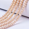 Electroplate Glass Beads Strands LS-EGLA-A034-P8mm-B02-1