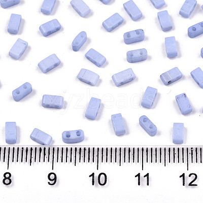 FGB 2-Hole Baking Paint Glass Seed Beads SEED-S031-M-SH494FR-1