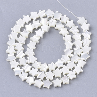 Natural Trochid Shell/Trochus Shell Beads Strands X-SHEL-T013-007A-01-1