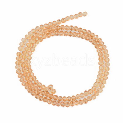 Glass Beads Strands EGLA-A034-T2mm-D23-1