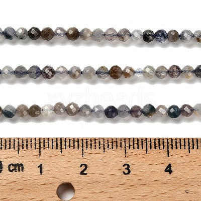 Natural Iolite Beads Strands LS-G-RM2025-22-3mm-1
