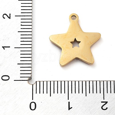 304 Stainless Steel Pendants LS-STAS-M076-08G-1