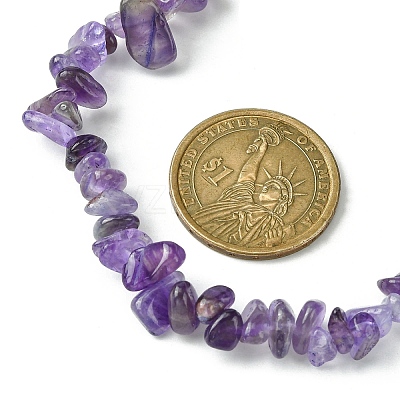 Natural Amethyst Chips Beaded Necklace NJEW-FZ00004-09-1
