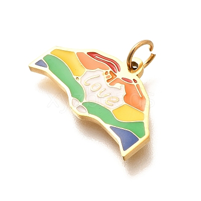 Pride 304 Stainless Steel Enamel Pendants LS-STAS-B079-01G-10-1