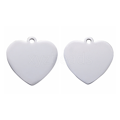 Tarnish Resistant 304 Stainless Steel Pendants LS-STAS-I140-10B-S-1