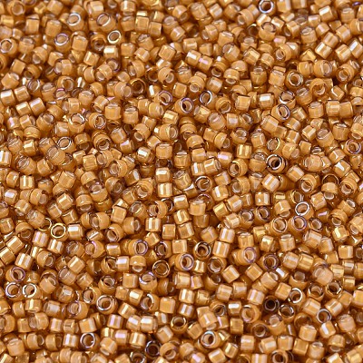 MIYUKI Delica Beads X-SEED-J020-DB1778-1