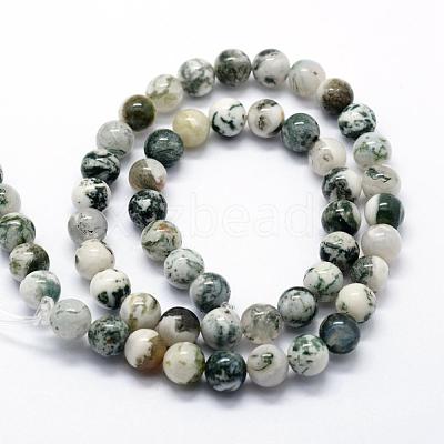 Natural Tree Agate Beads Strands G-I199-03-6mm-1