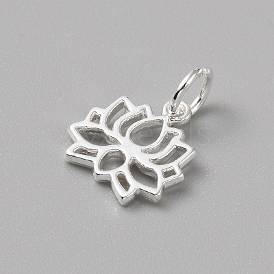 Brass Charms FIND-WH0159-63S-05-1