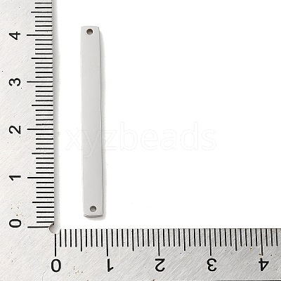 Non-Tarnish 304 Stainless Steel Connector Charms STAS-R117-02A-P-1