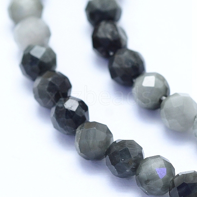 Natural Hawk's Eye Beads Strands G-I279-E14-03-1