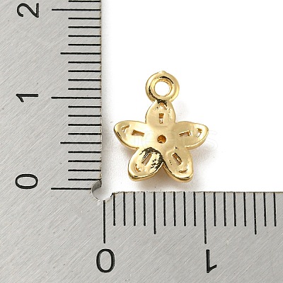 Brass with Clear Cubic Zirconia Charms KK-G478-02B-KCG-1