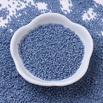 MIYUKI Delica Beads X-SEED-J020-DB0266-1
