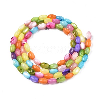 Freshwater Shell Beads Strands SHEL-T009-B15-06-1