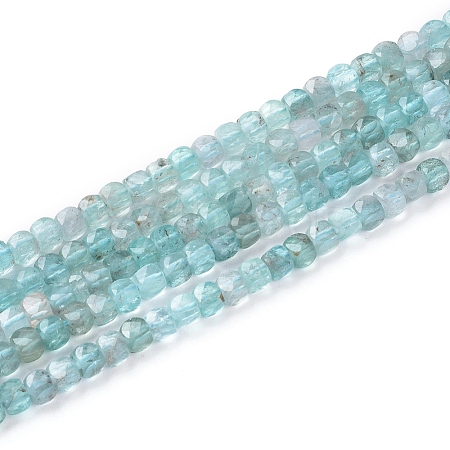 Natural Apatite Beads Strands G-L537-002-1