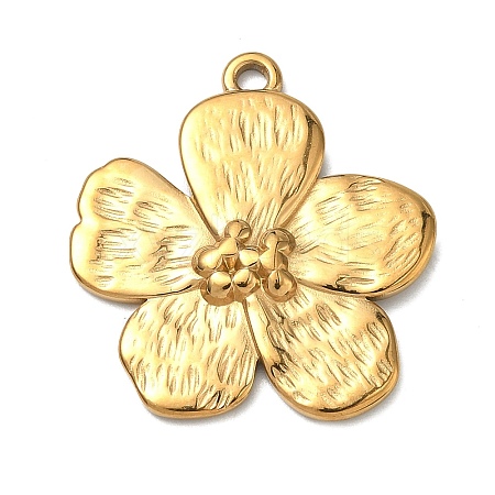 304 Stainless Steel Pendants LS-STAS-C168-02A-G-1