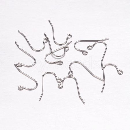 Tarnish Resistant 304 Stainless Steel Earring Hooks X-STAS-F117-47P-1