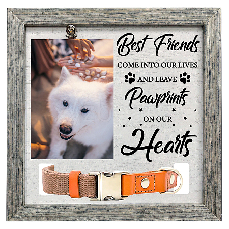 MDF Pet Photo Frames DIY-WH0525-007-1