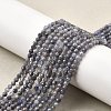 Natural Tanzanite Beads Strands LS-G-S387-A01-3mm-1
