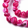 Natural Trochid Shell/Trochus Shell Beads Strands SSHEL-N032-48-A06-3