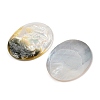 Natural Black Lip Shell Cabochons SSHEL-I026-04B-06-2