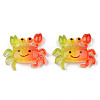 Rainbow Resin Cabochons LS-X-CRES-N024-40-1