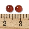 Natural Carnelian Cabochons G-Q173-01B-14-3