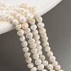 Natural Cultured Freshwater Pearl Beads Strands PEAR-C003-25-2